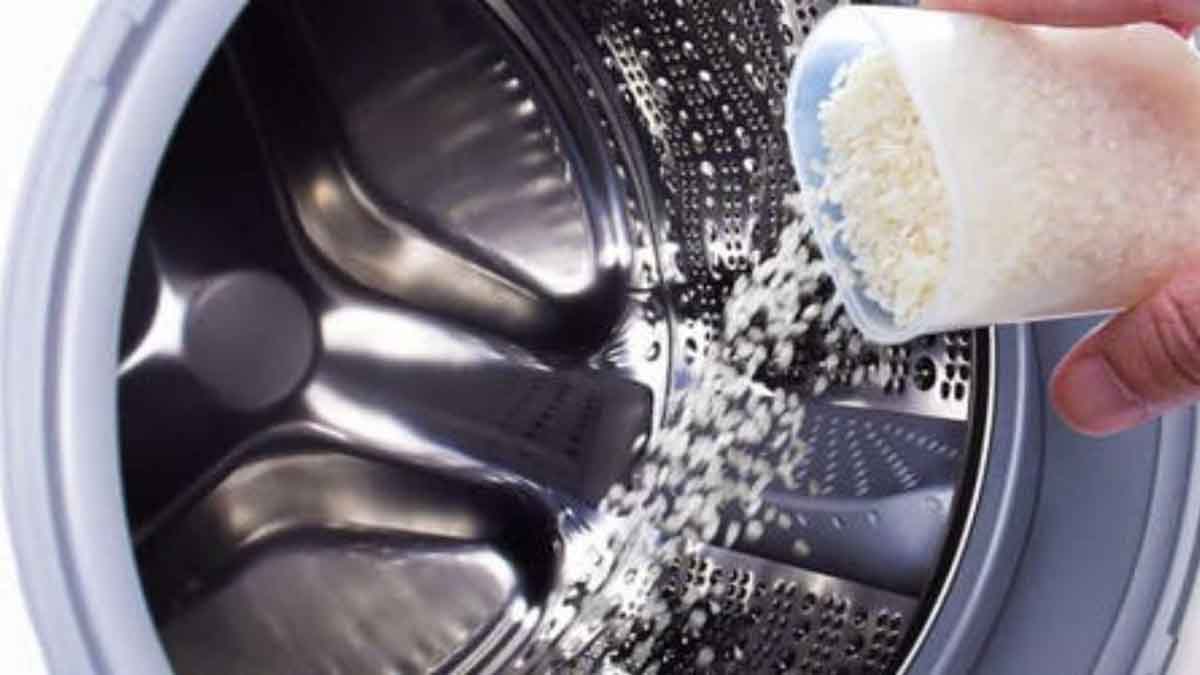 Cestello della lavatrice maleodorante: soluzioni naturali per una deodorazione permanente